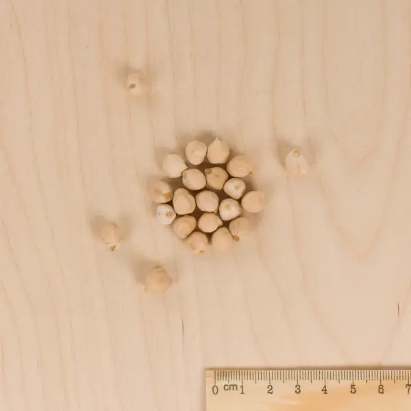 Légumes Secs - Pois Chiche Twist - 10 m - Cuisine du Monde - MEDIA_3D